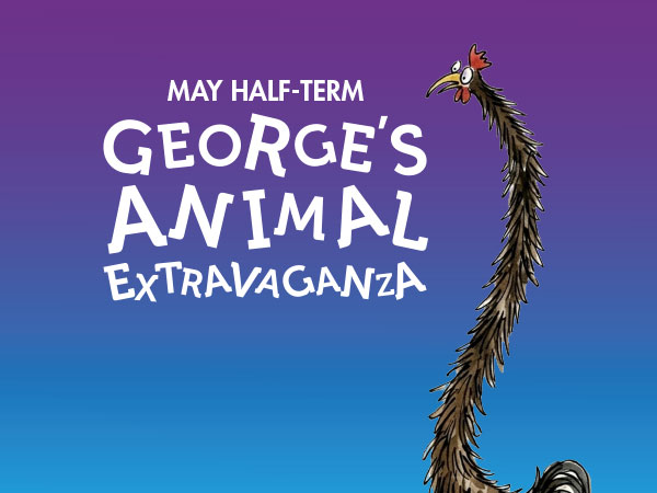 May Half Term 2026