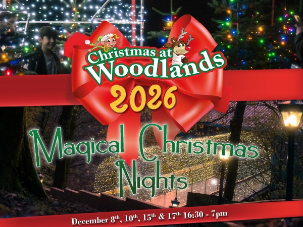 Magical Christmas Nights at Woodlands 2026 (Grotto Only, PARK CLOSED)