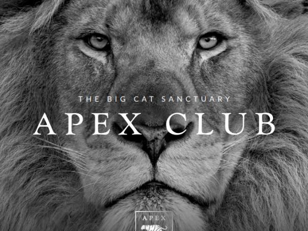 Apex Memberships