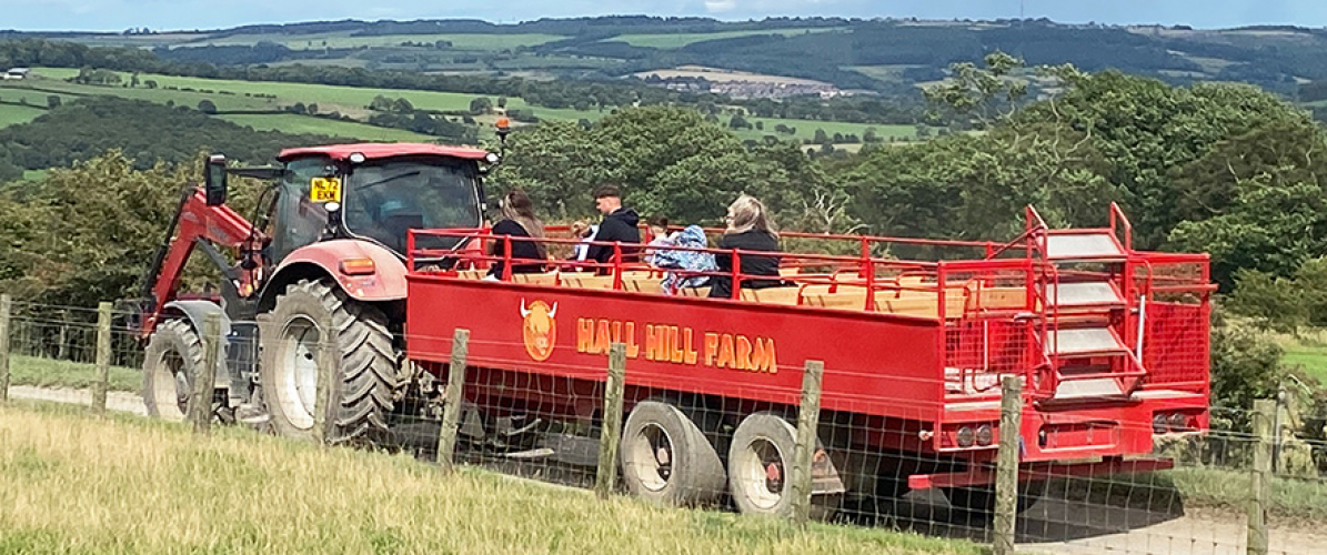 Entrance Tickets 2026 (Closed January)