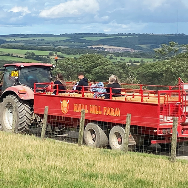 Hall Hill Farm Tickets, Products, Membership Plans, Gift Vouchers Buy Online