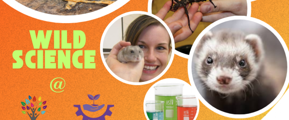 Wild Science 17th August 2025