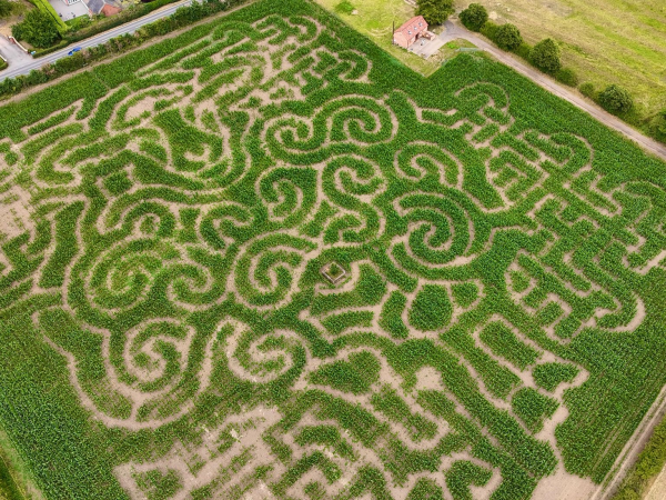 Maize Maze Tickets