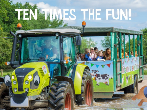 Summer 2025 Multi-Tickets 10 Times the Fun