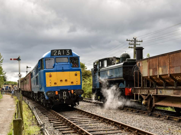 Normal Operating Day and Wheelchair & Accessibility Compartment Train Rides; From Sun 29th March and Throughout the Year.