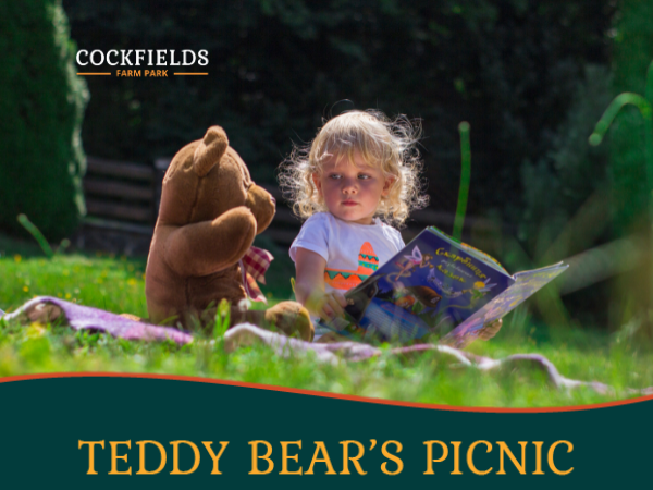 Teddy Bear Picnic