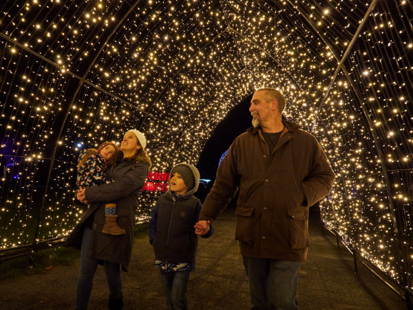 Illuminated Light Trail 2026