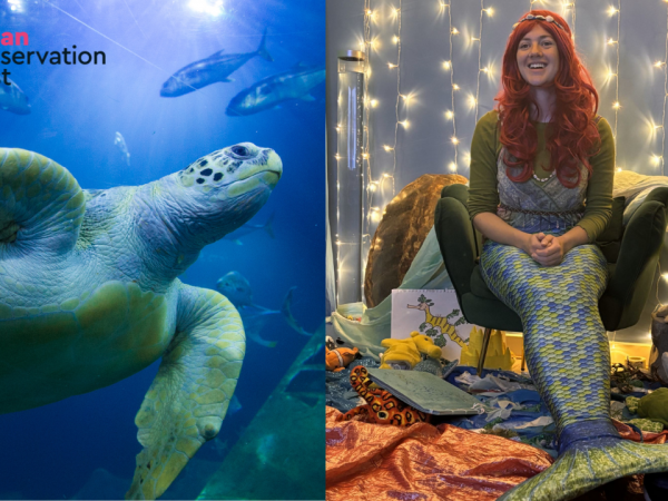 Ocean Conservation Trust - World Book Day Virtual Mermaid Story