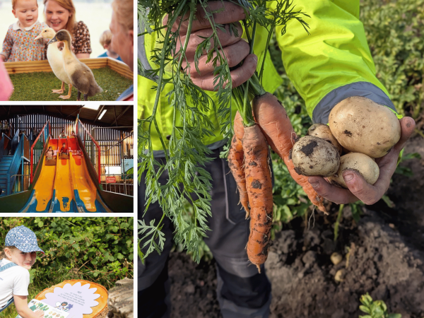 Farm Play Day + Big Potato Dig