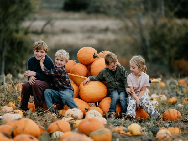 The Pumpkin Experience