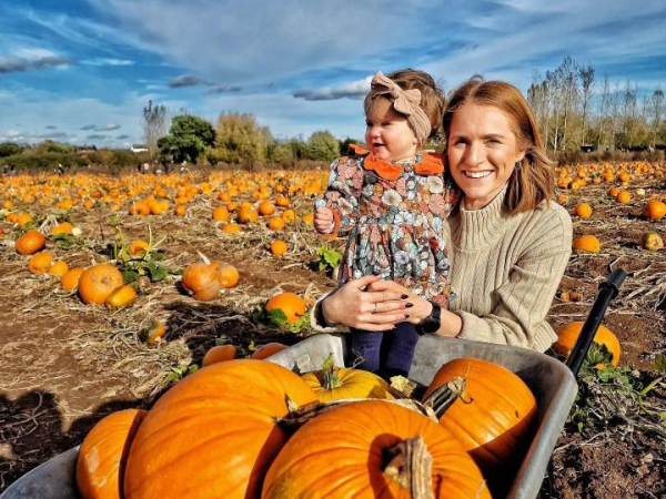 PYO Pumpkins - Open Dated