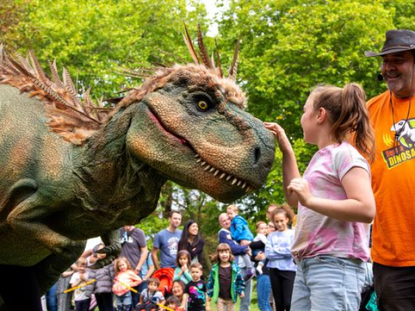 Dinosaur Fun Day