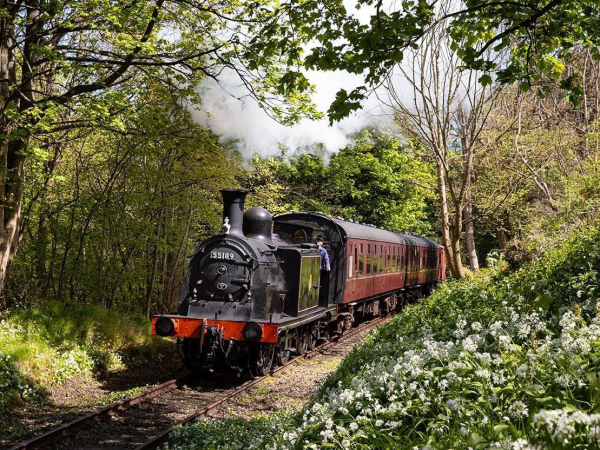 Steam Gala - Day Rover
