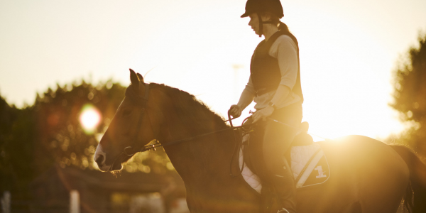 Lee Valley Riding Centre Gift Vouchers