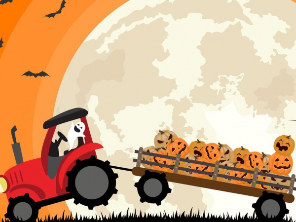 Halloween at High Lodge Farm
