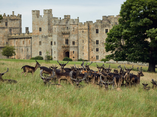 Deer Park and Gardens