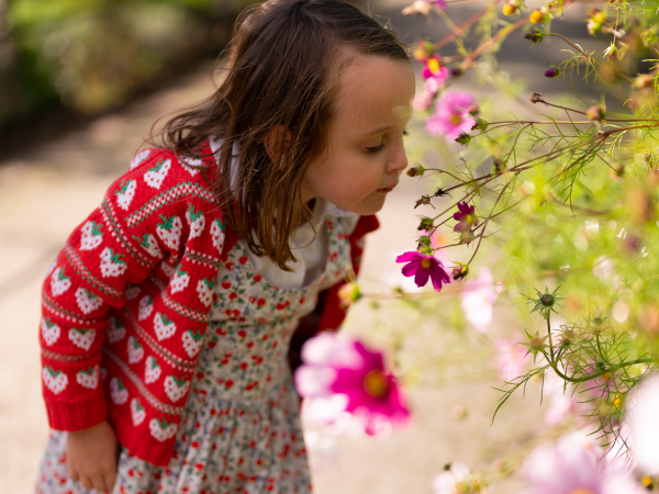 Little green fingers winter 2025