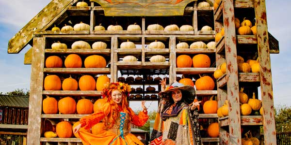 DAYTIME PUMPKIN FESTIVAL 2024