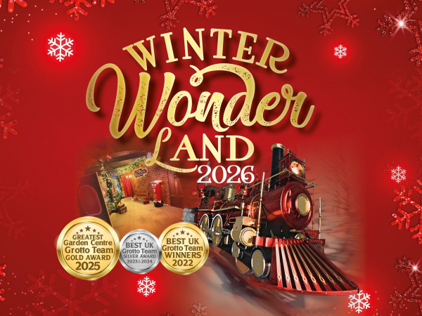 Valley View Winter Wonderland