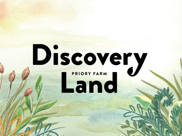 Discovery Land (General Admission)