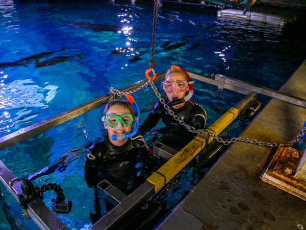 Snorkel at The Aquarium Gift Vouchers