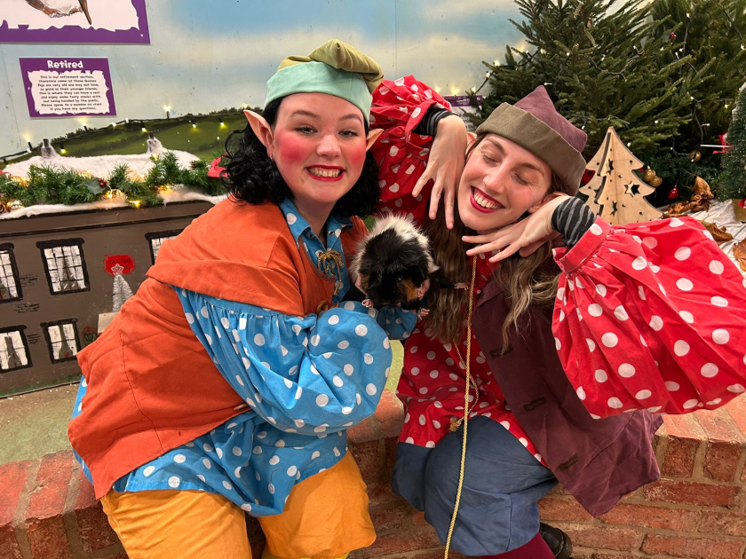 Buy Enchanted Christmas Kingdom 2026 Tickets online - Hatton Country World