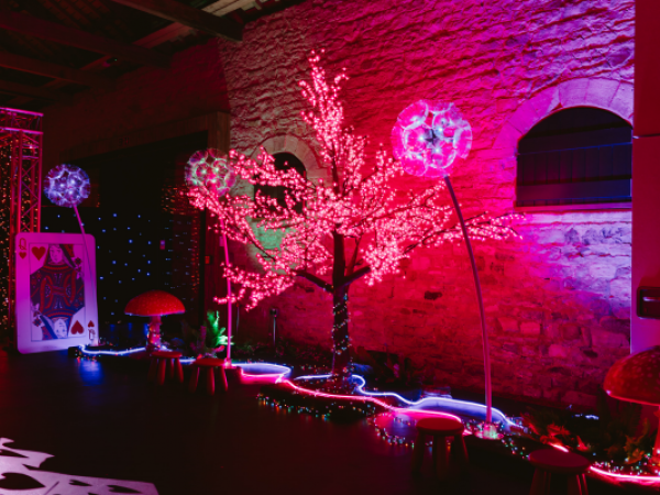 Adventures in Wonderland: An Immersive Experience