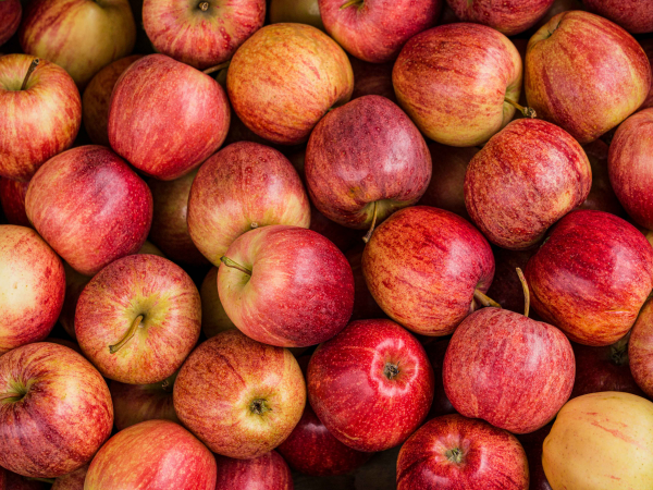 Apple Juicing