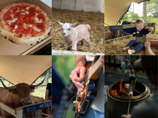 The Buffalo Farm Sessions : After Hours
