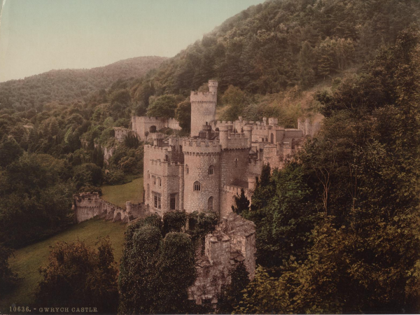 Donation to Gwrych Castle Preservation Trust