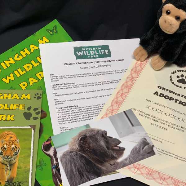 Buy WWP Animal Adoption Gift Boxes Tickets online Wingham Wildlife Park