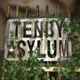 The Tenby Asylum