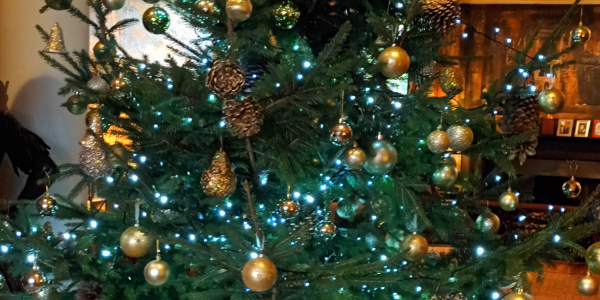 renishaw hall christmas tours