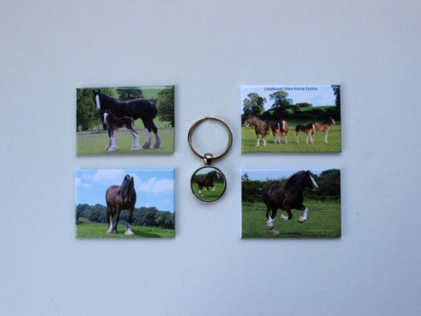 Gift Shop - Fridge magnets & keyrings