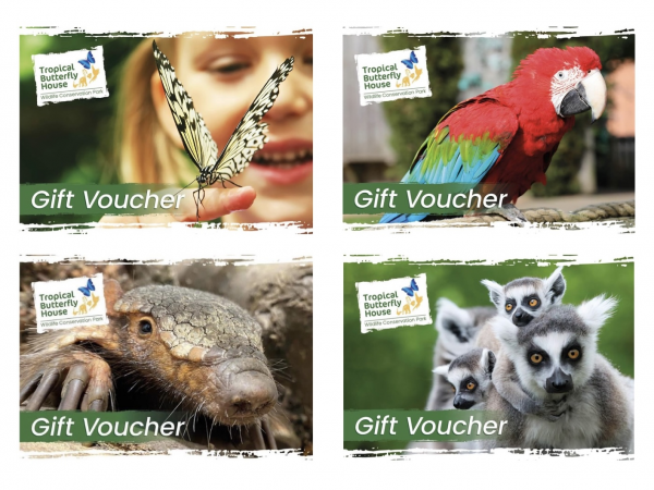 Gift Vouchers