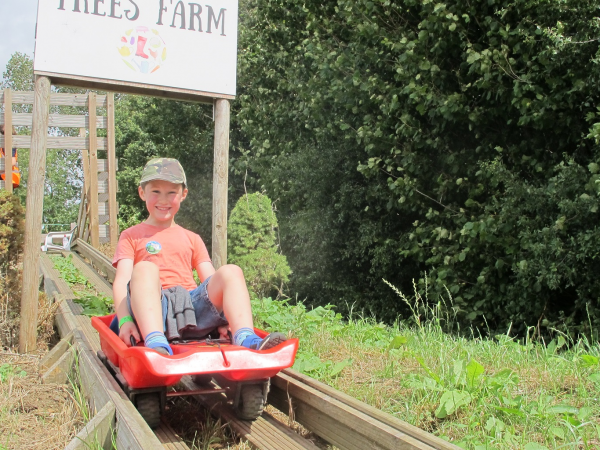 Summer Farm Trail Admission (UNTIL 3rd SEPTEMBER)