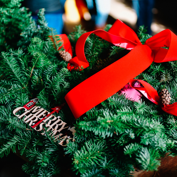 Gower Fresh Christmas Trees Tickets, Products, Gift Vouchers Buy Online