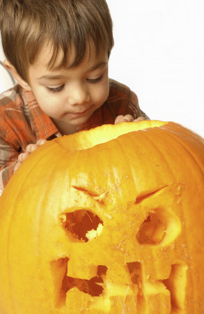 Pumpkin Carving 2016 On-line Prices