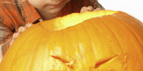 Pumpkin Carving 2017 On-line Prices