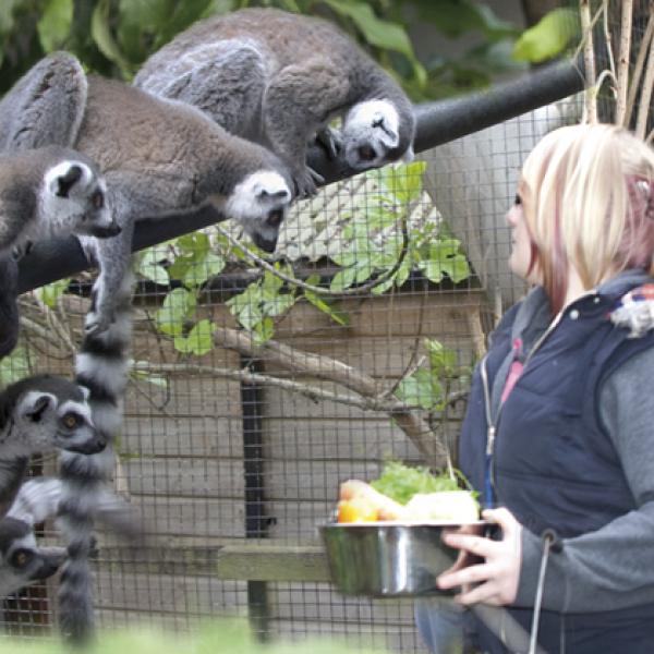 Keeper for a Day