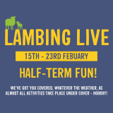 Lambing Live! Feb Half Term 15 - 23rd Feb 2020