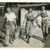 The Women's Land Army in Sussex