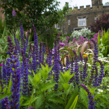 Charterhouse Gardens