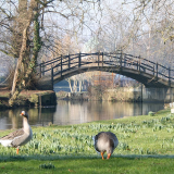Seasonal Gardens Tour