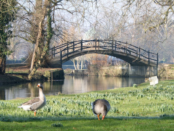 Seasonal Gardens Tour