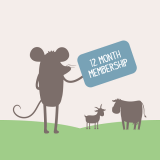 12 Month Membership Passes