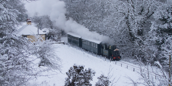 Mince Pie Trains: 28 - 30th December