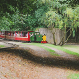 Autism & SEN Friendly Sessions - Woodland Adventure Days