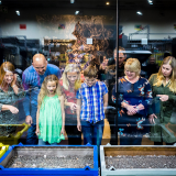 The Royal Mint Experience