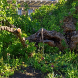 Support Tickets - Open Gardens